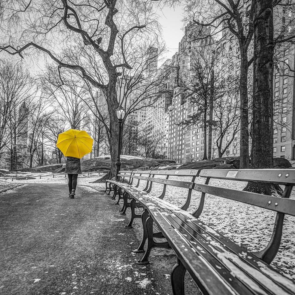 Tourist on pathway with Yellow umbrella at Central park-New York art print by Assaf Frank for $57.95 CAD