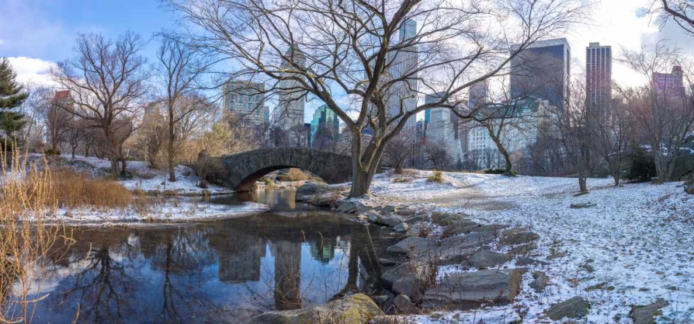 Central park with Lower Manhattan skyline, New York art print by Assaf Frank for $57.95 CAD