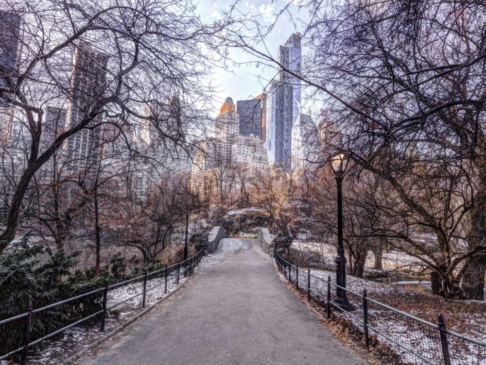 Pathway through Central park, New York art print by Assaf Frank for $57.95 CAD