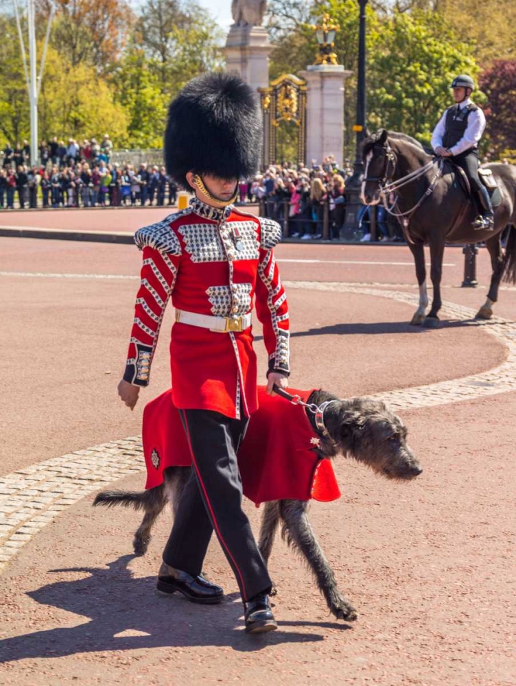 Changing the Guard, Buckingham Palace, London art print by Assaf Frank for $57.95 CAD