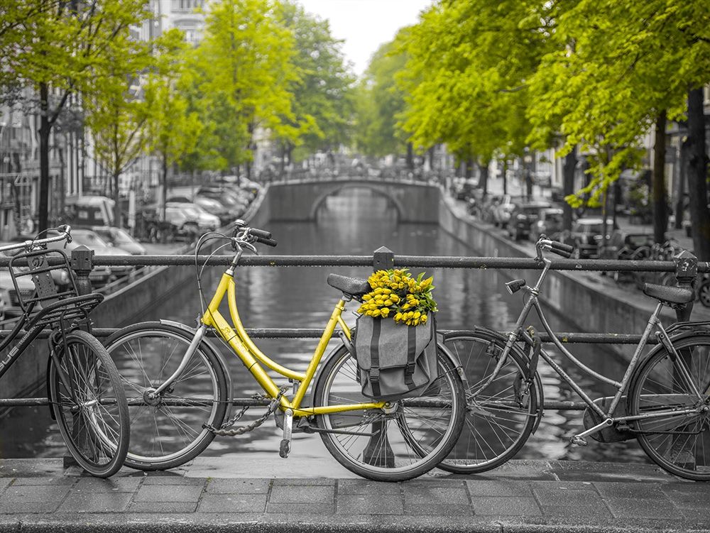 Bicycle with bunch of flowers by the canal, Amsterdam art print by Assaf Frank for $57.95 CAD