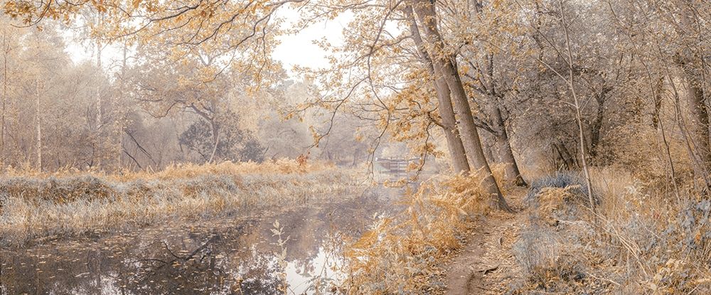 Canal through forest art print by Assaf Frank for $57.95 CAD