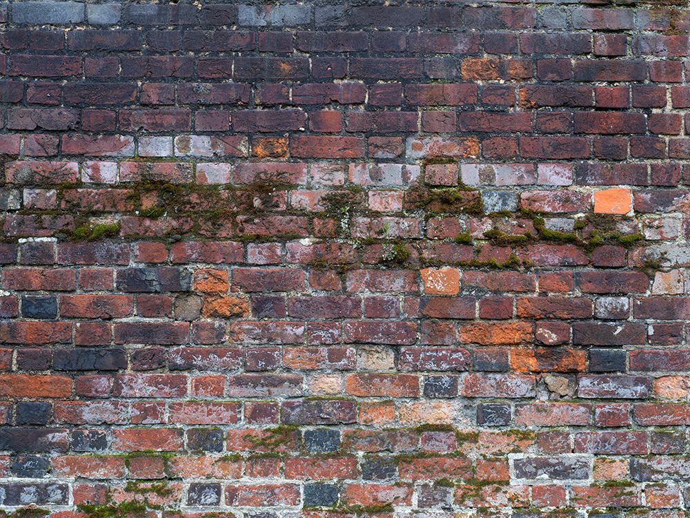 Old and rustic brick wall art print by Assaf Frank for $57.95 CAD