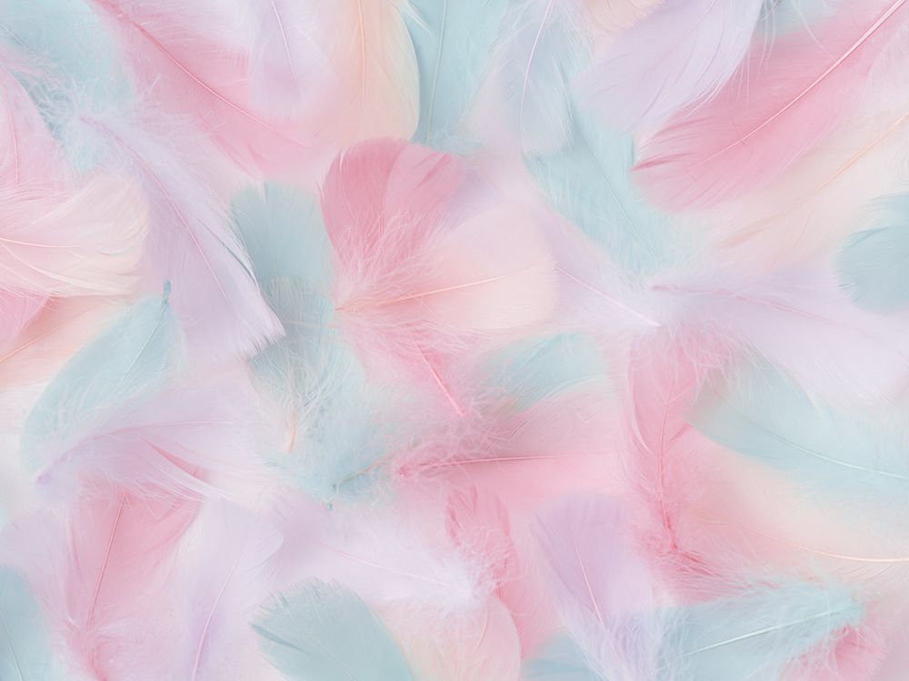 Multicoloured soft feathers art print by Assaf Frank for $57.95 CAD