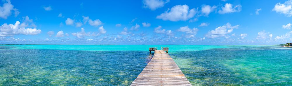 Wooden pier over the sea, Bonaire, Caribbean Netherlands art print by Assaf Frank for $57.95 CAD