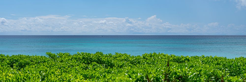 Beautiful Seascape in Barbados art print by Assaf Frank for $57.95 CAD