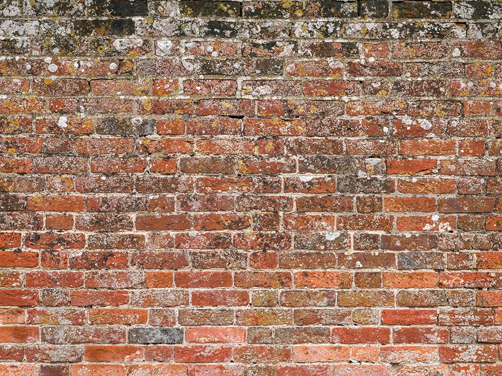 Old red brick wall, full frame art print by Assaf Frank for $57.95 CAD