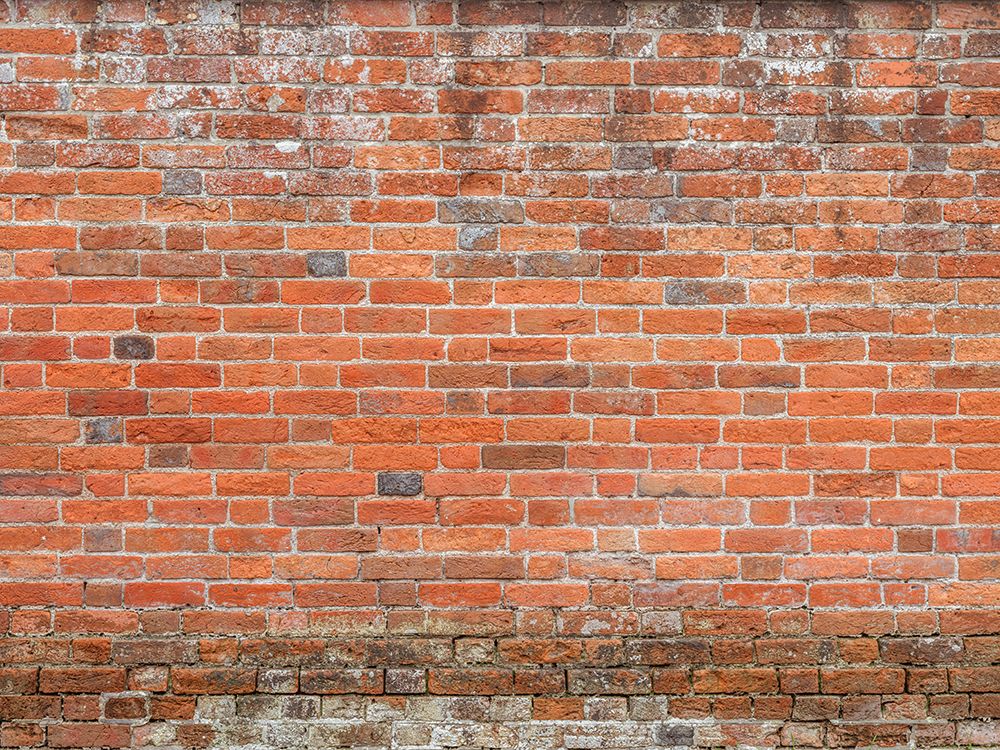 Old red brick wall, full frame art print by Assaf Frank for $57.95 CAD