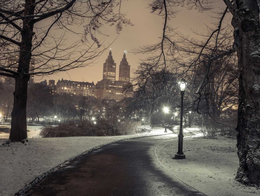 Path in cental park at night, winter, snow, New York. art print by Assaf Frank for $57.95 CAD