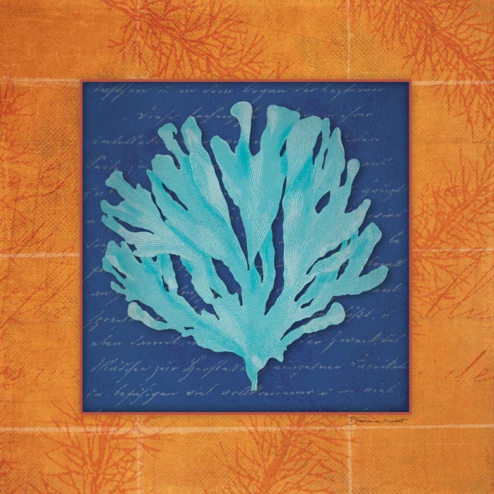 Seaweed art print by Stephanie Marrott for $57.95 CAD