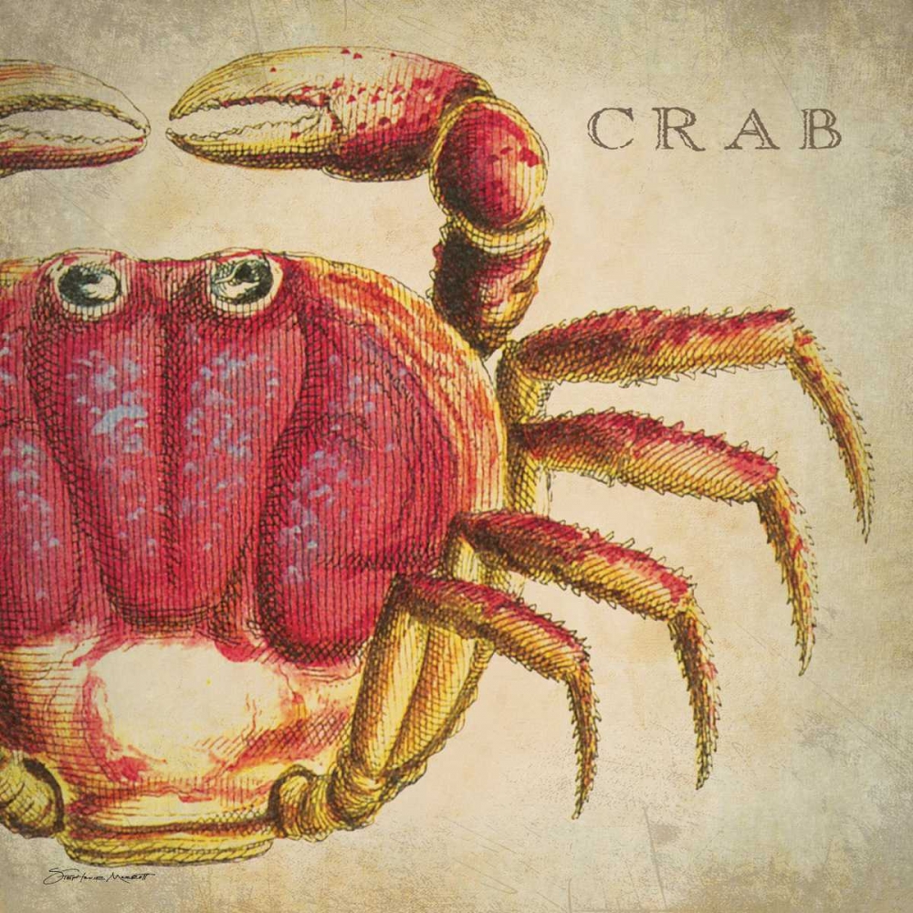 Red Crab art print by Stephanie Marrott for $57.95 CAD