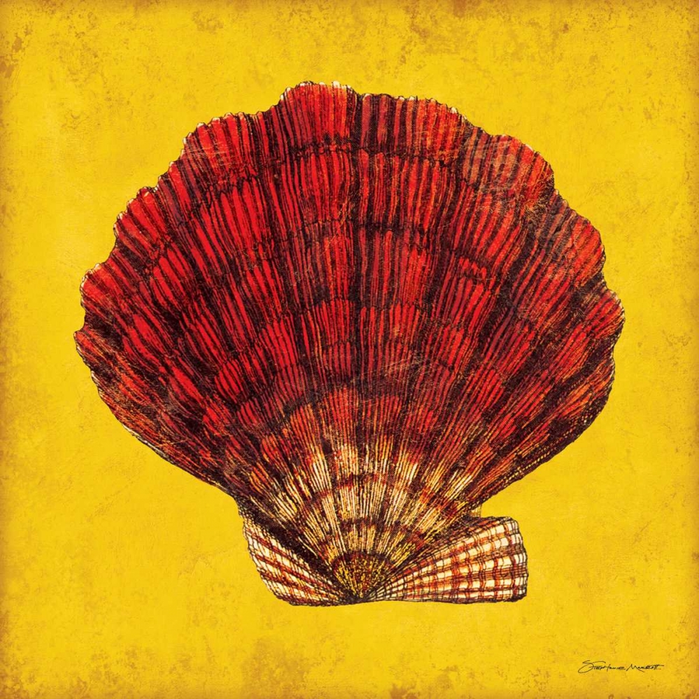 Fan Shell art print by Stephanie Marrott for $57.95 CAD