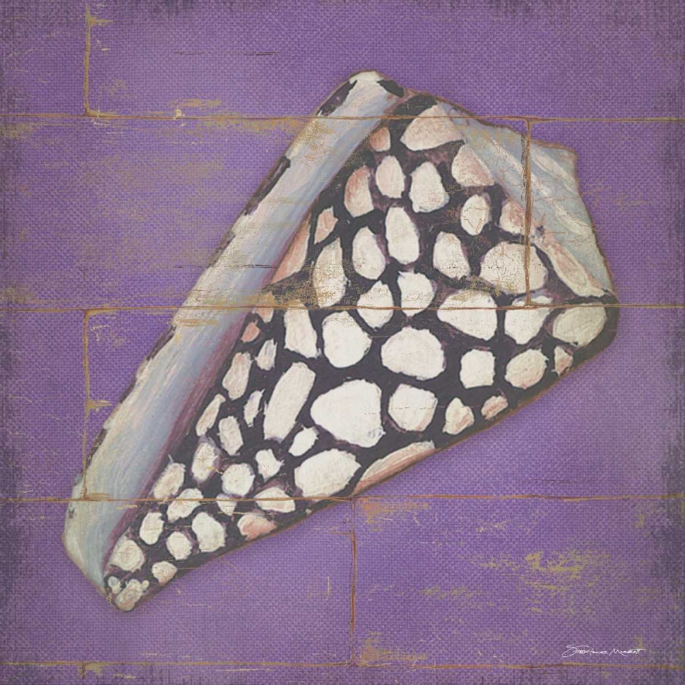 Speckled Shell art print by Stephanie Marrott for $57.95 CAD