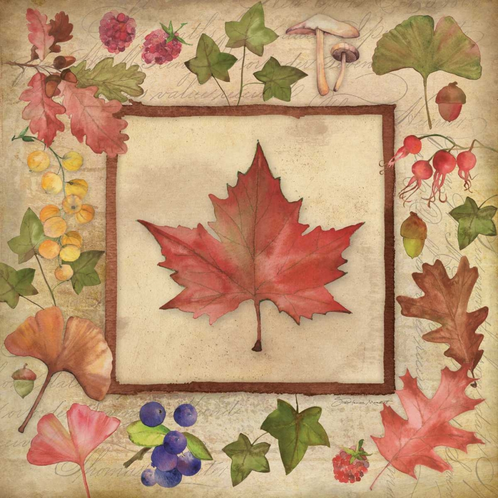Maple of Fall 2 art print by Stephanie Marrott for $57.95 CAD