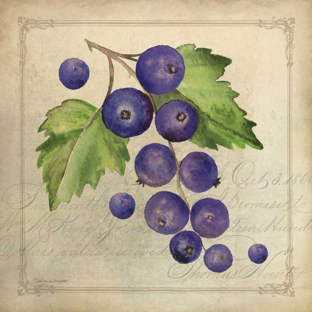 Blueberry Collage art print by Stephanie Marrott for $57.95 CAD