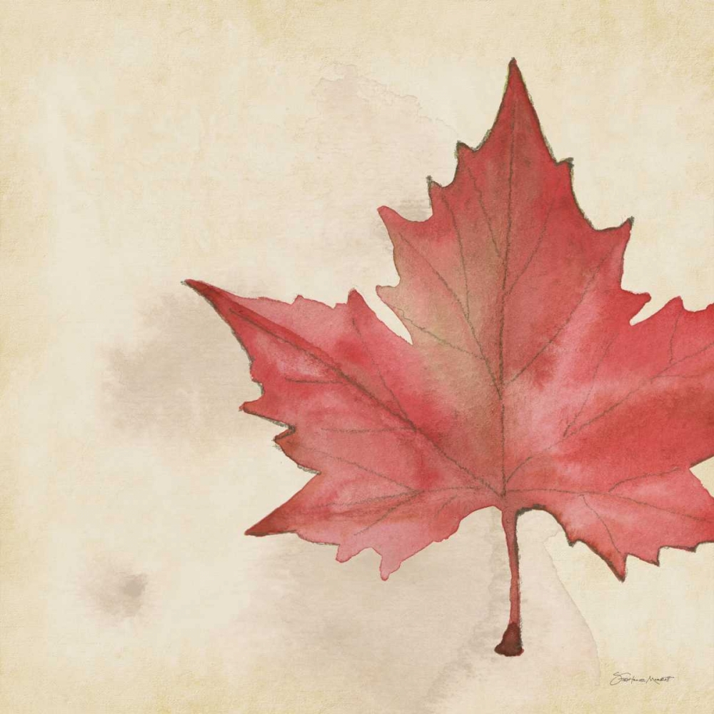 Maple In Fall art print by Stephanie Marrott for $57.95 CAD