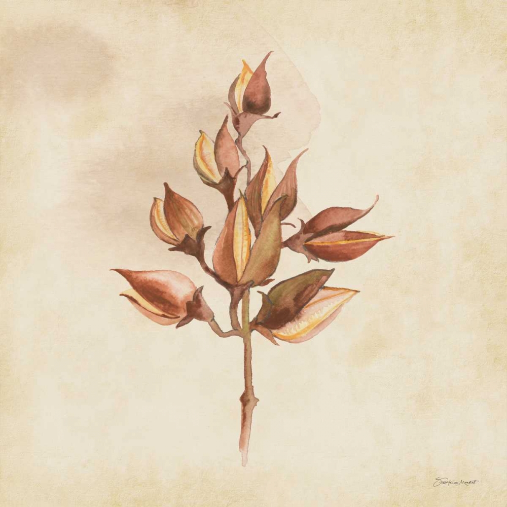 Seeds In Fall art print by Stephanie Marrott for $57.95 CAD
