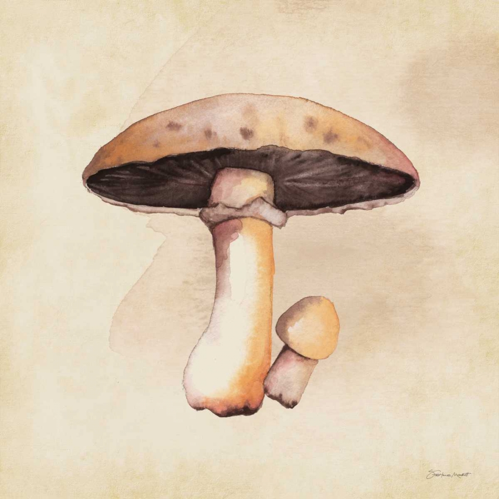 Mushrooms In Fall art print by Stephanie Marrott for $57.95 CAD