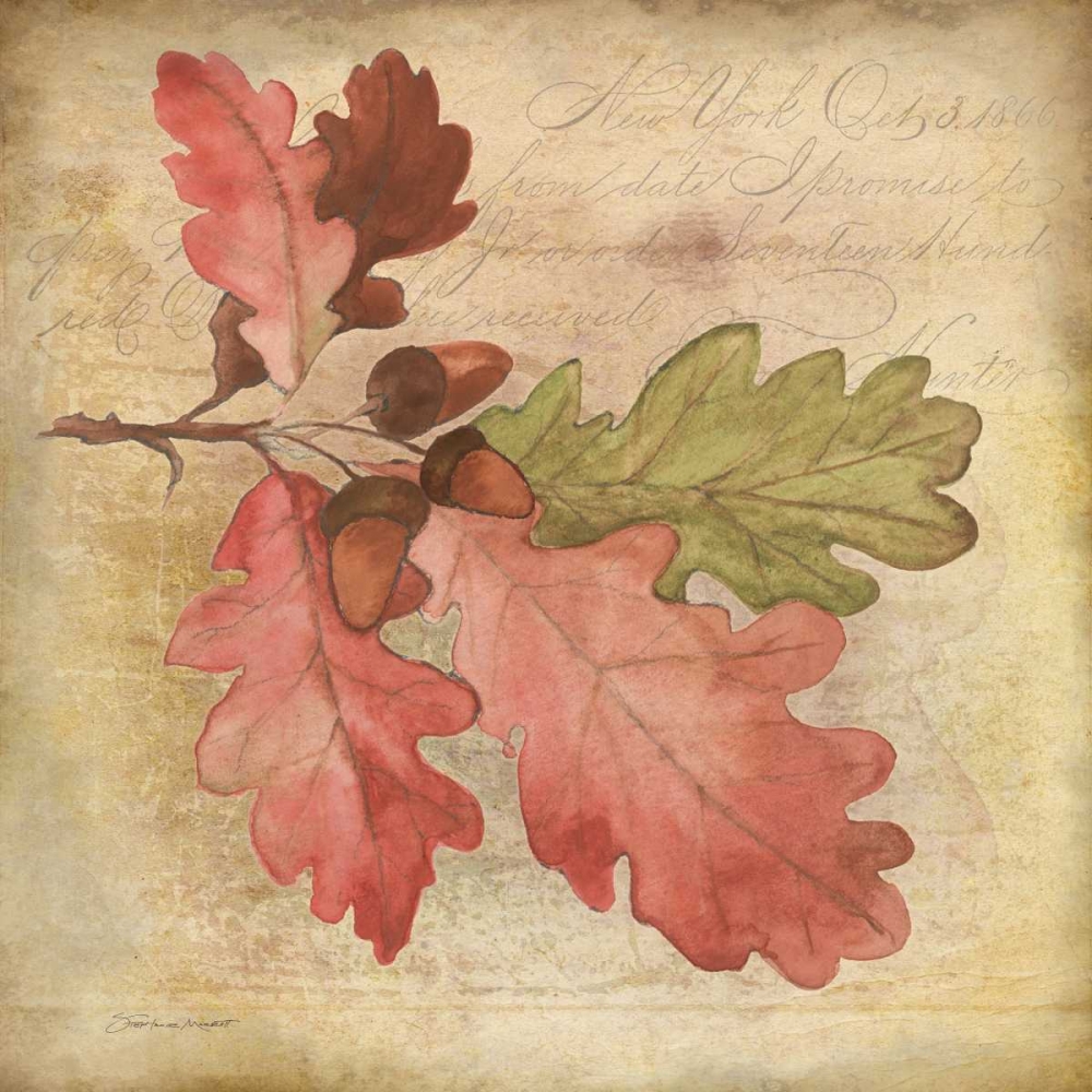 Oak Leaf 1 art print by Stephanie Marrott for $57.95 CAD