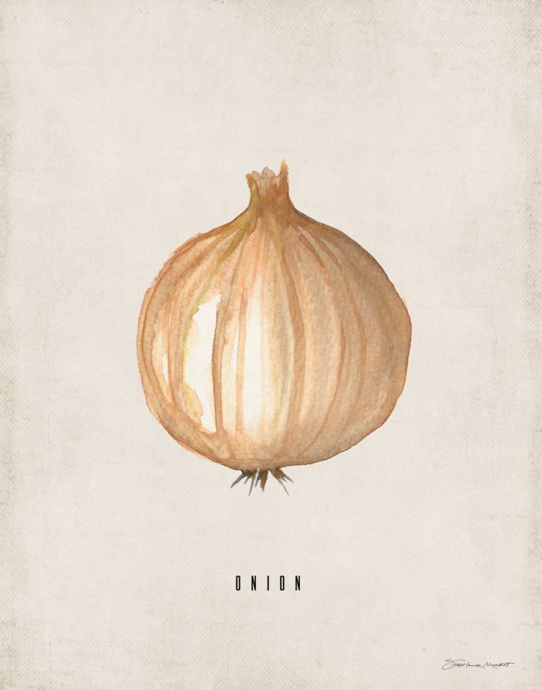 Onion art print by Stephanie Marrott for $57.95 CAD
