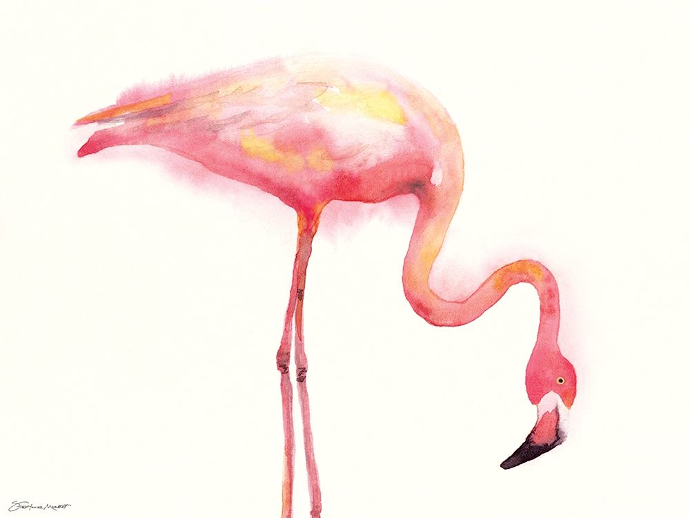 Flamingo III art print by Stephanie Marrott for $57.95 CAD
