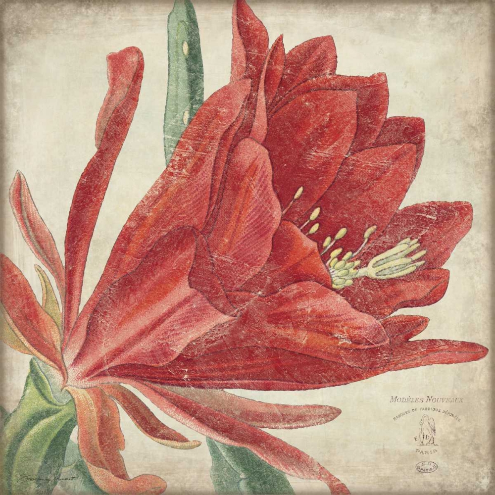 Red Flower art print by Stephanie Marrott for $57.95 CAD