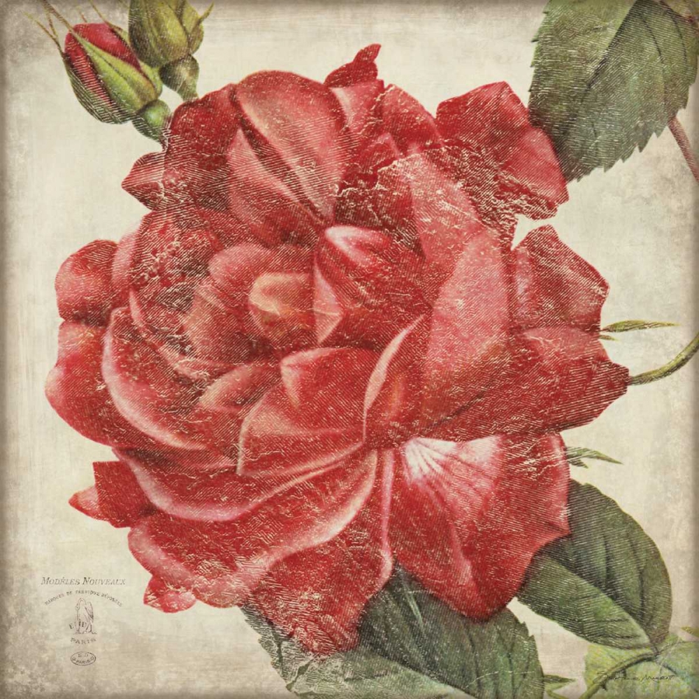 Rose Flower art print by Stephanie Marrott for $57.95 CAD