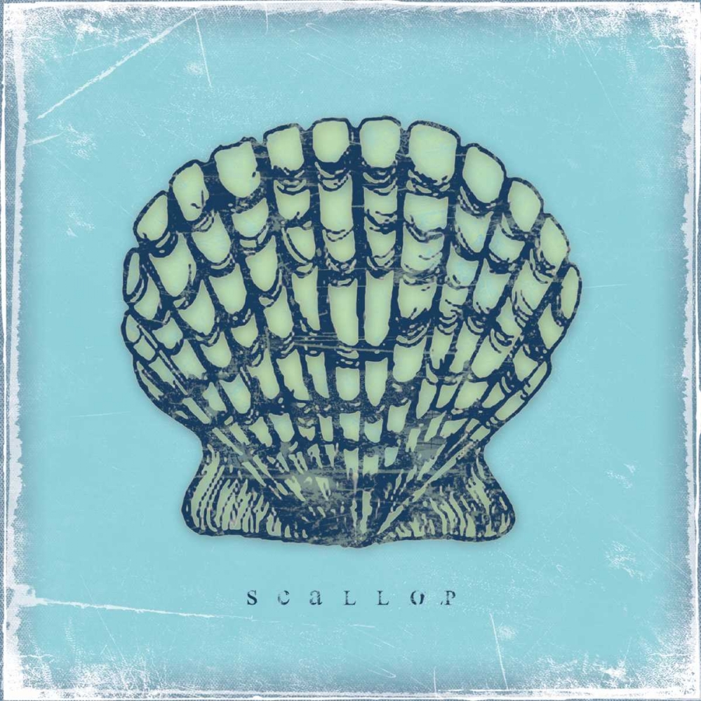 Scallop art print by Stephanie Marrott for $57.95 CAD
