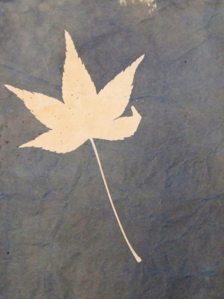 Lone Leaf art print by Blue for $57.95 CAD