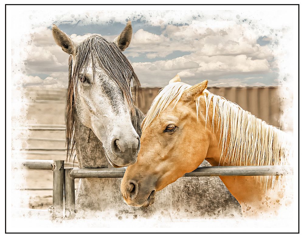 Horses art print by Jerry Cowart for $57.95 CAD