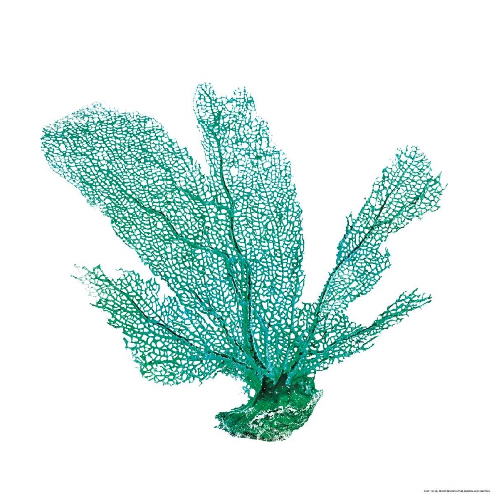 Green Sea Fan art print by JJ Brando for $57.95 CAD