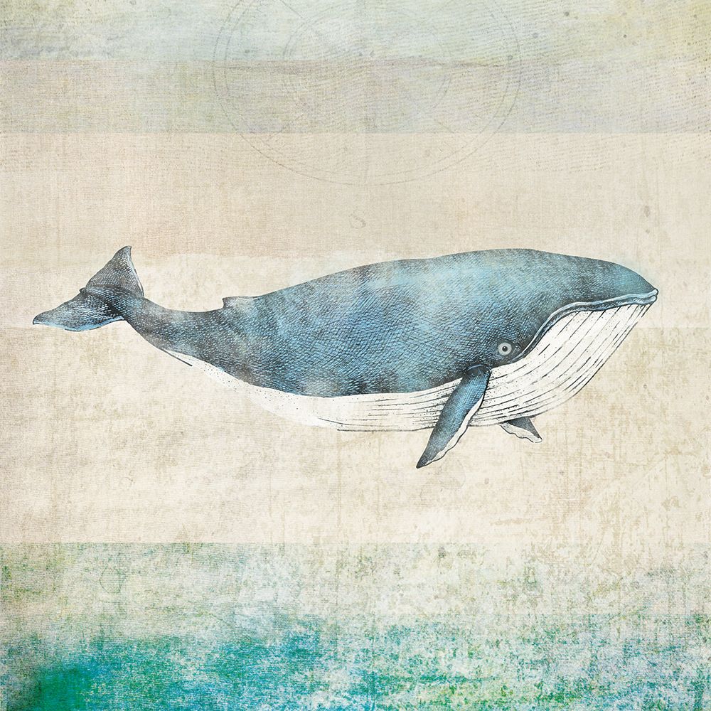 Whale Square art print by Judi Bagnato for $57.95 CAD