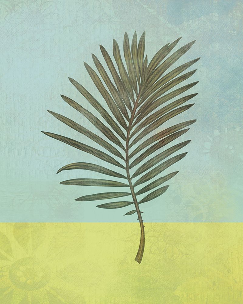 Palm Leaf art print by Judi Bagnato for $57.95 CAD