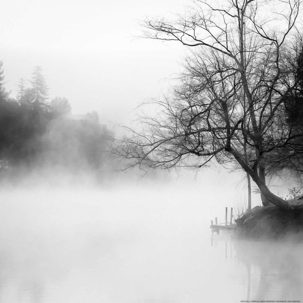 Fog On The Lake 1 art print by Sally Linden for $57.95 CAD