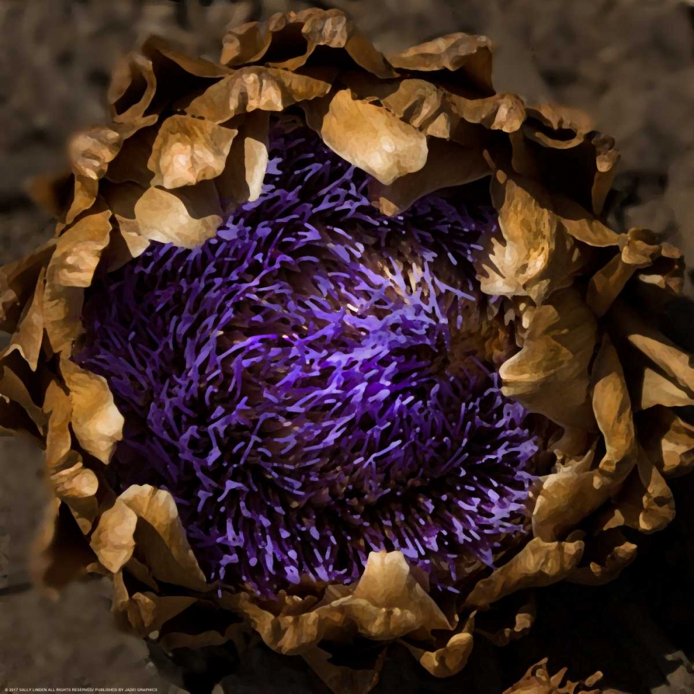 Purple Artichoke art print by Sally Linden for $57.95 CAD