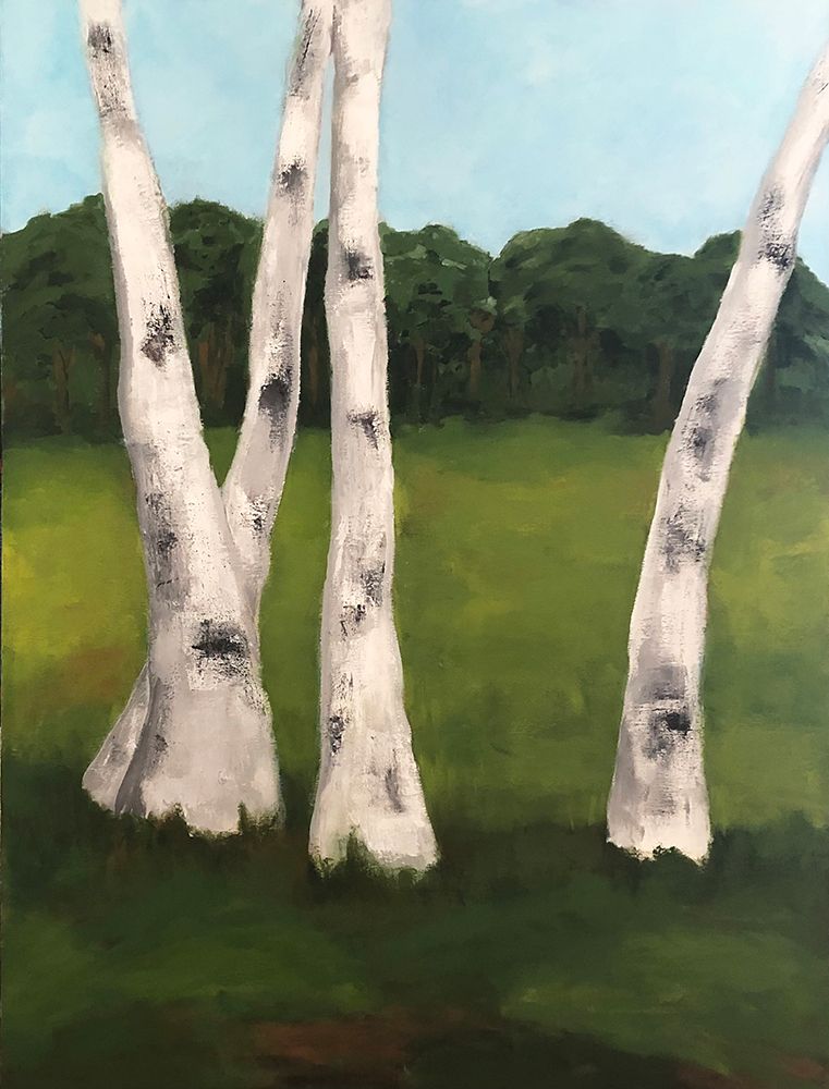 Birch art print by Laurie MacMurry for $57.95 CAD
