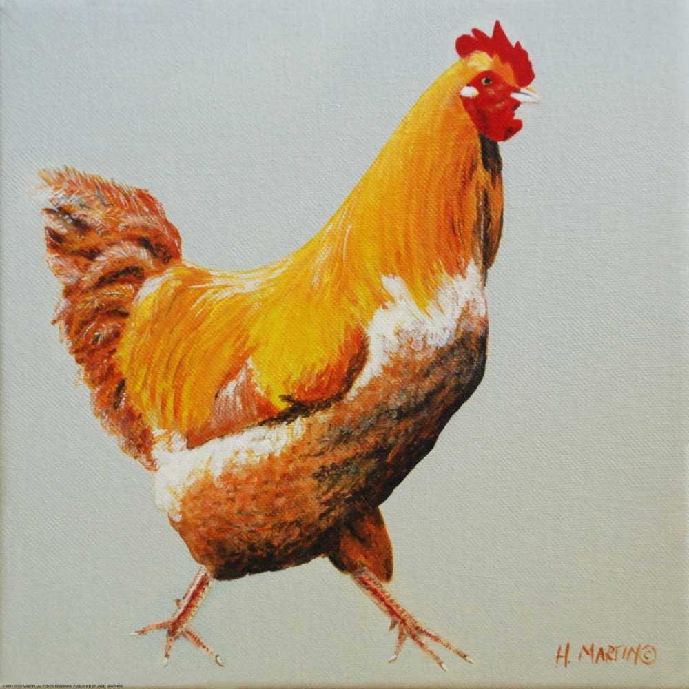 Blonde Chicken art print by Heidi Martin for $57.95 CAD