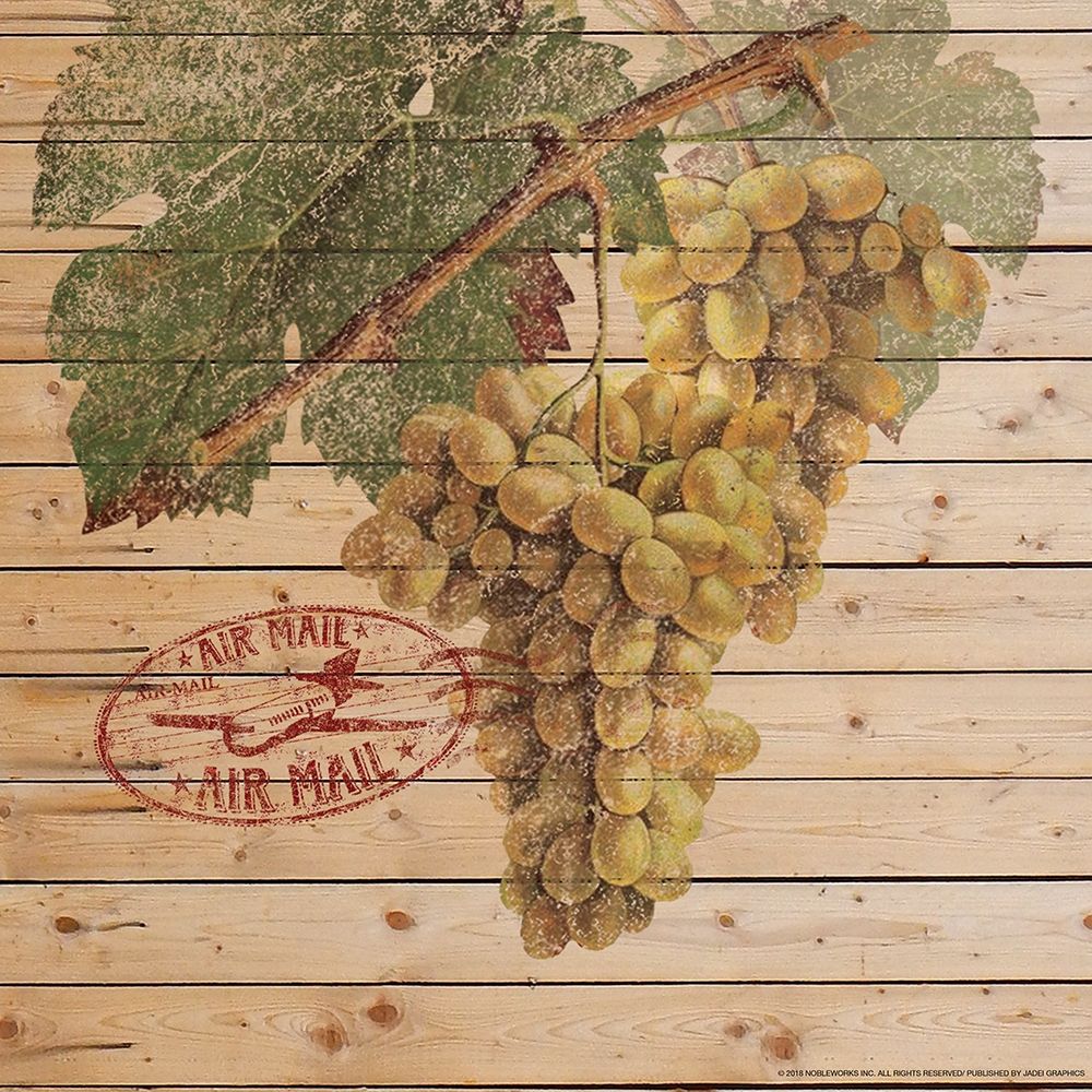 Grapes B art print by Inc. Nobleworks for $57.95 CAD