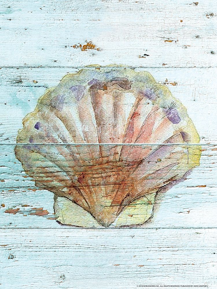 Seashell 1 art print by Inc. Nobleworks for $57.95 CAD