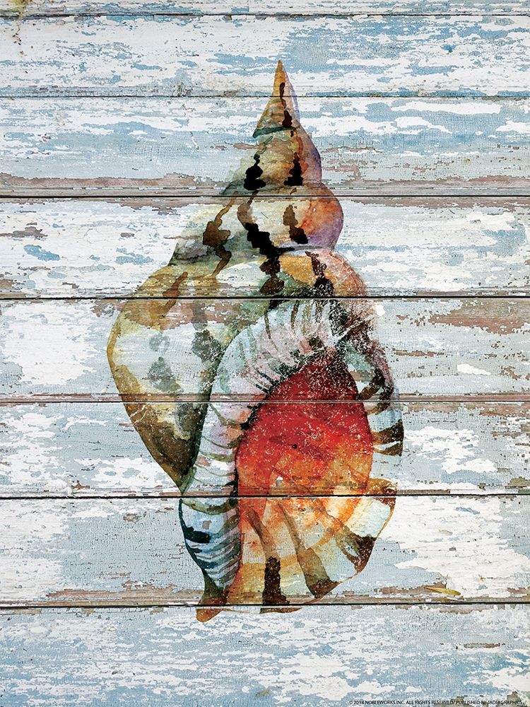 Seashell 2 art print by Inc. Nobleworks for $57.95 CAD