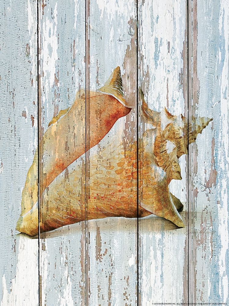 Seashell 3 art print by Inc. Nobleworks for $57.95 CAD