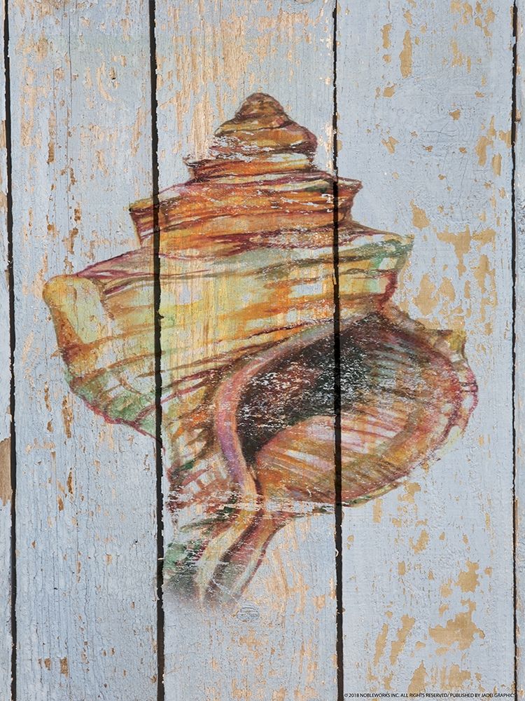 Seashell 4 art print by Inc. Nobleworks for $57.95 CAD