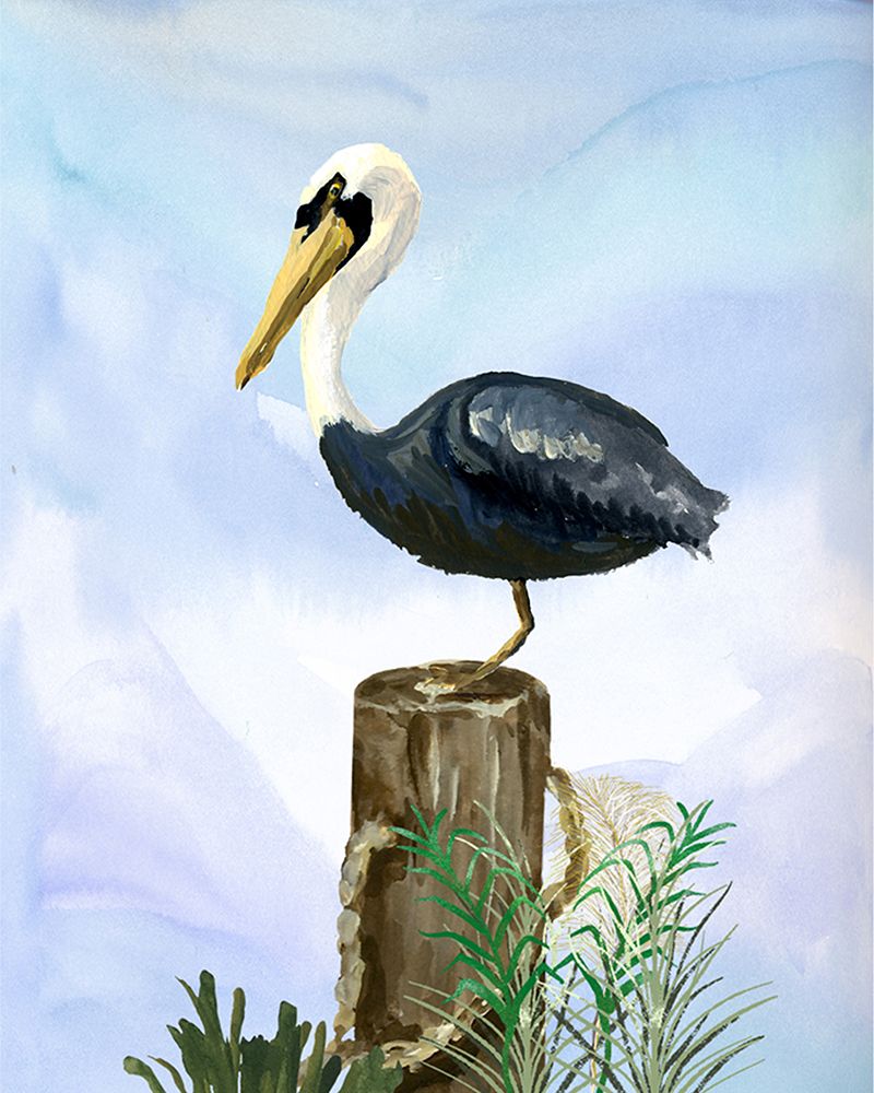 Pelican art print by Patti Sokal for $57.95 CAD