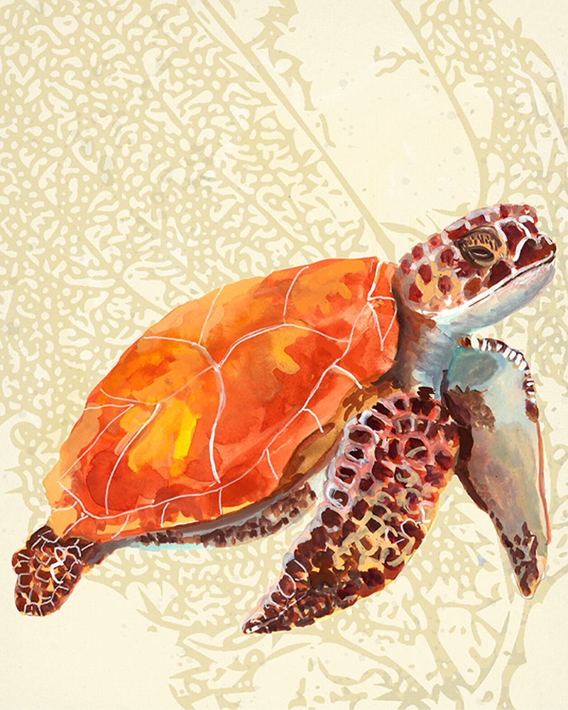 Turtle art print by Patti Sokal for $57.95 CAD