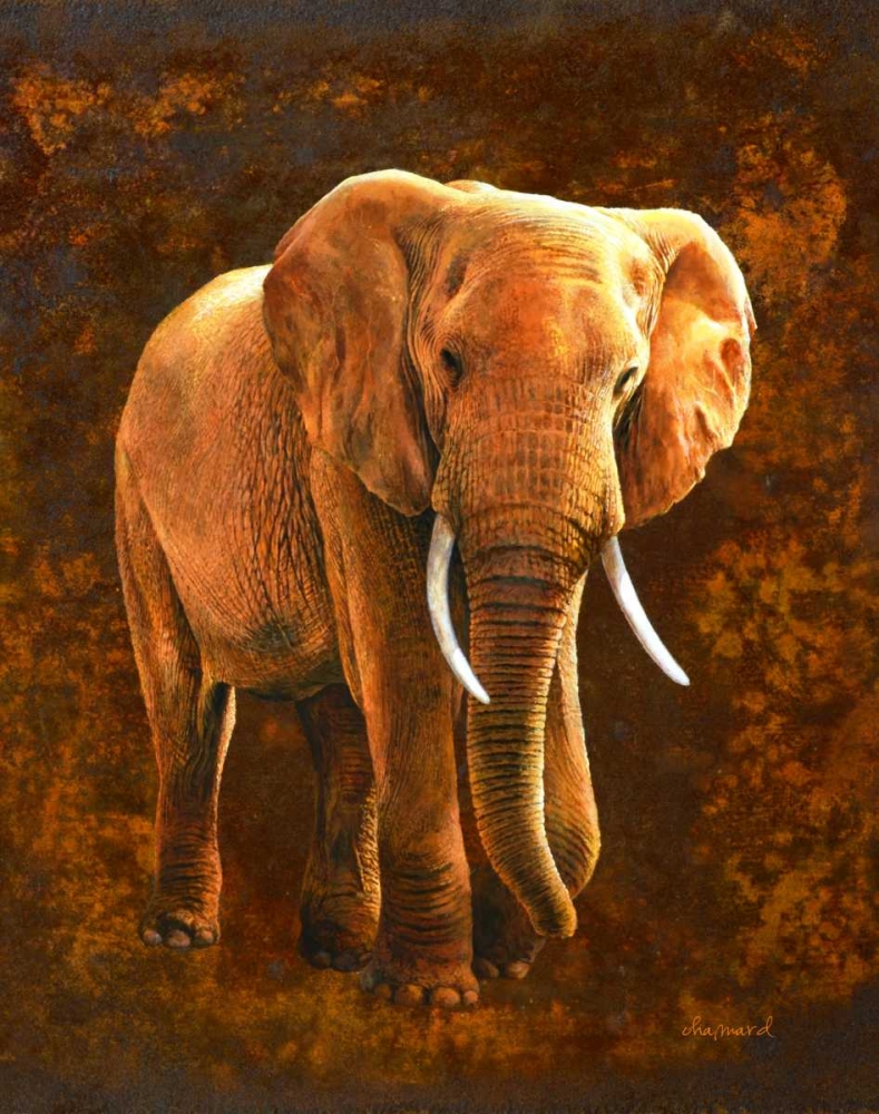 Elephant 01 art print by Jean-Marc Chamard for $57.95 CAD