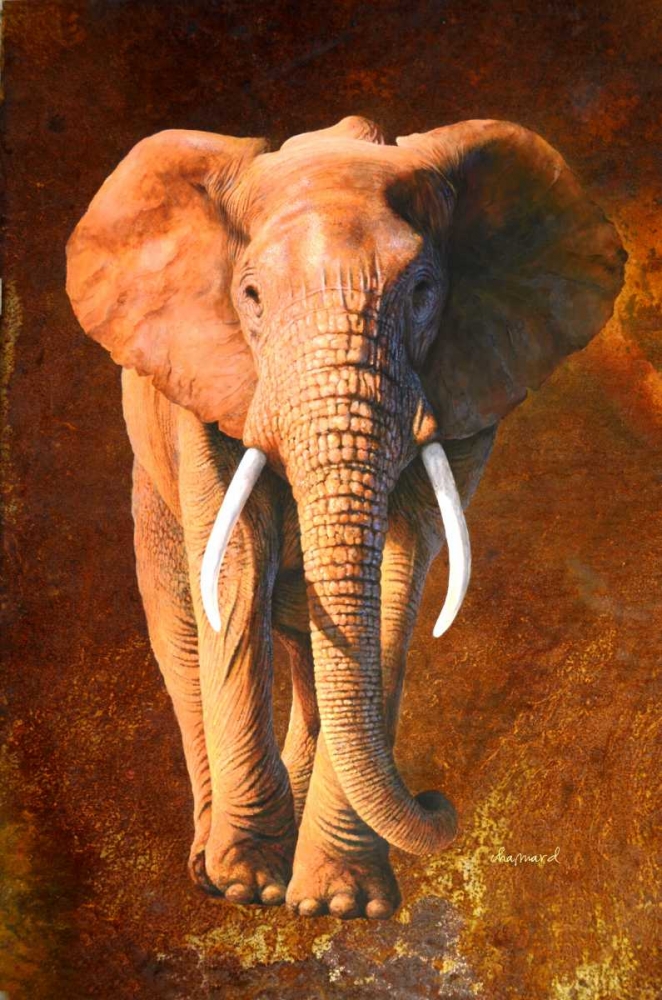 Elephant 02 art print by Jean-Marc Chamard for $57.95 CAD