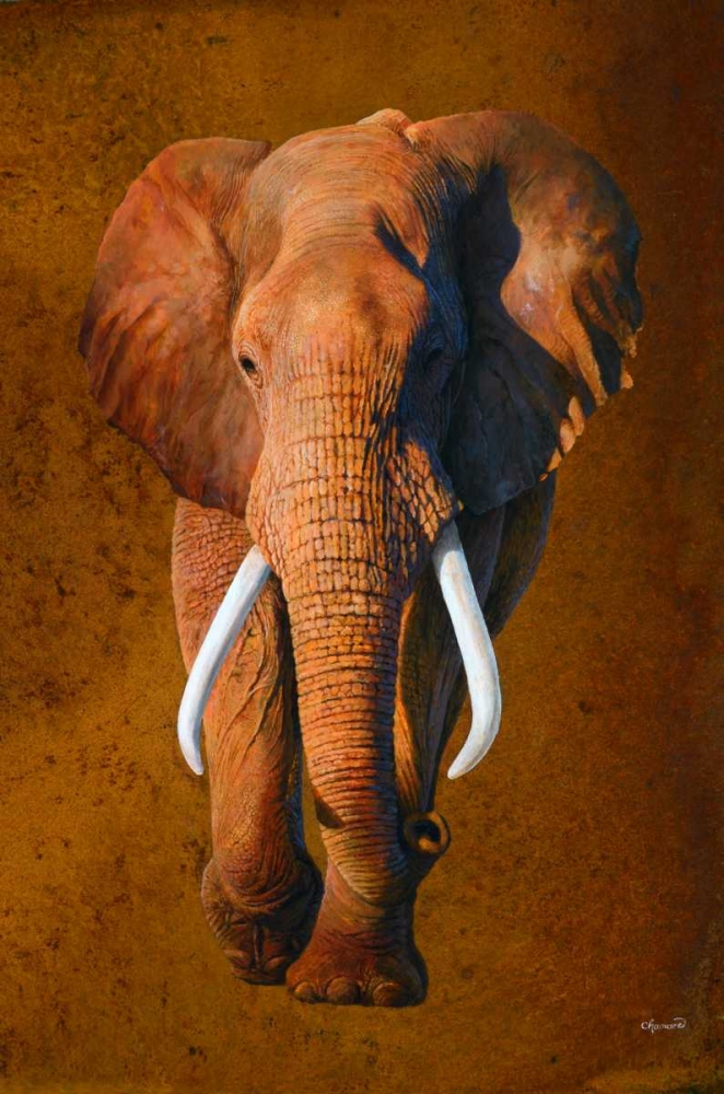 Elephant 03 art print by Jean-Marc Chamard for $57.95 CAD