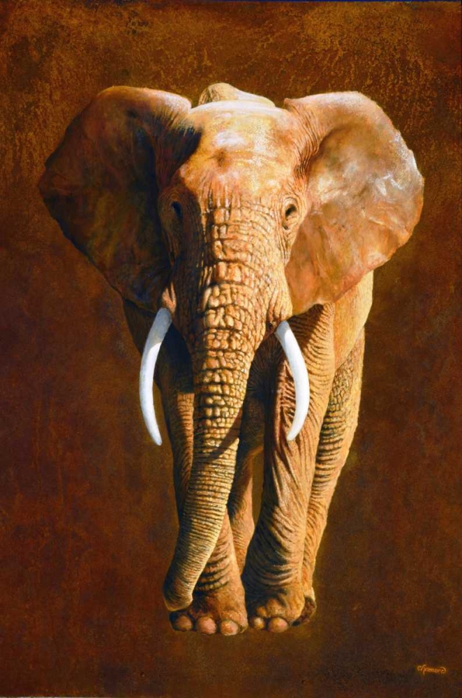 Elephant 04 art print by Jean-Marc Chamard for $57.95 CAD