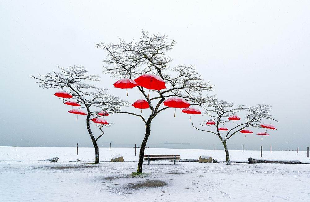Red Umbrellas art print by Vladimir Kostka for $57.95 CAD