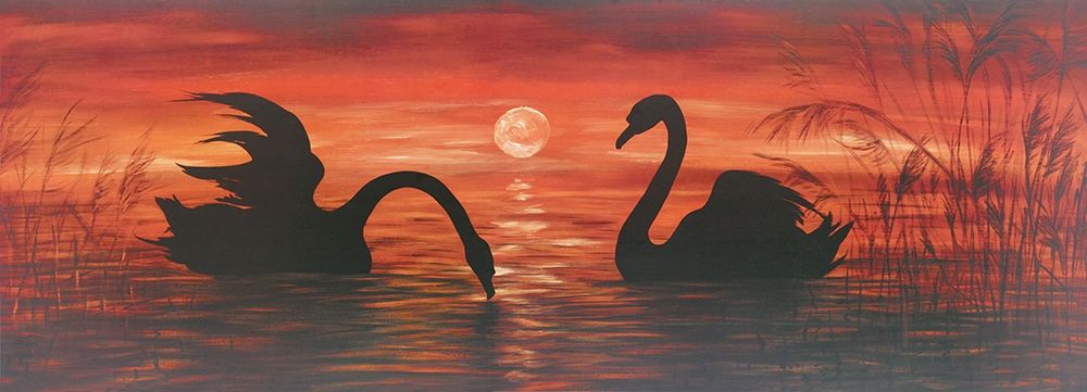 SWANS IN THE SUNSET art print by Werner for $57.95 CAD